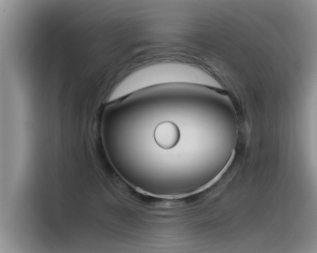 X0000115510323200911061402
