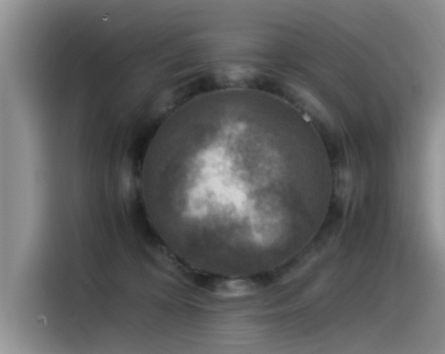 X0000115510324200911061402