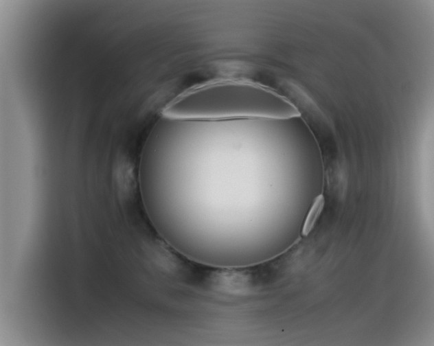 X0000115510327200911061402