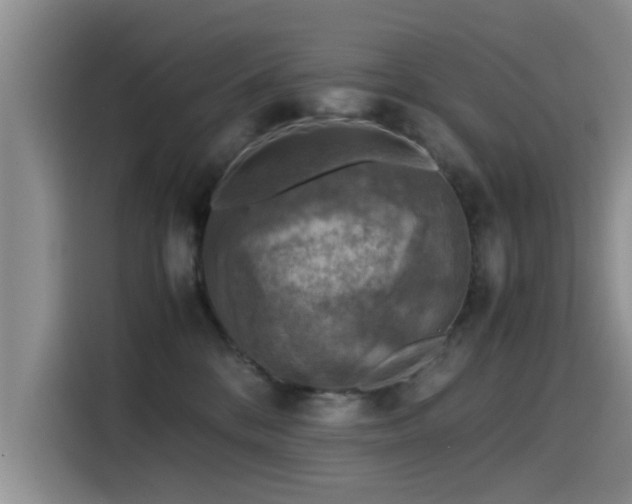 X0000115510328200911061402