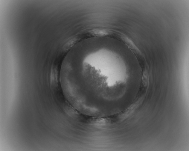 X0000115510330200911061402