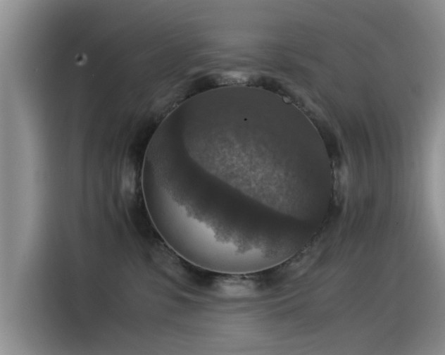 X0000115510331200911061402