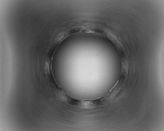 X0000115510333200911061402