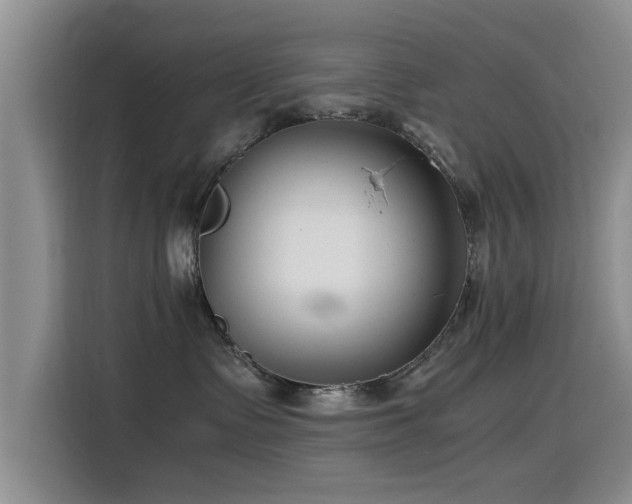 X0000115510335200911061402