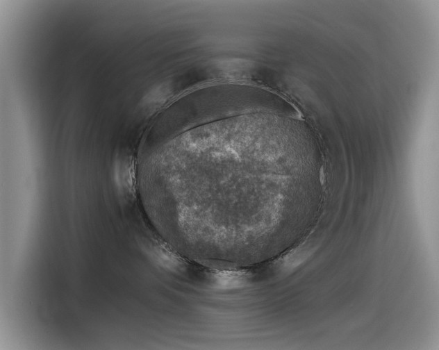 X0000115510336200911061402