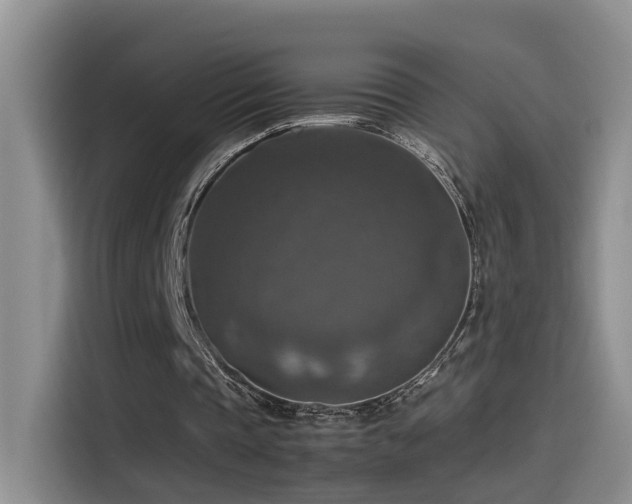 X0000115510337200911061401