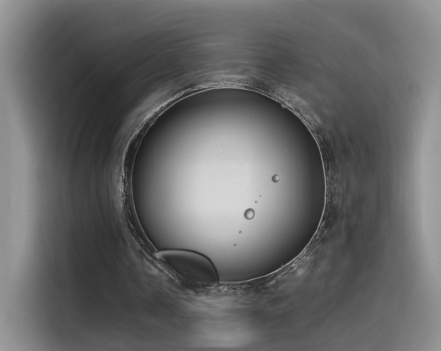 X0000115510338200911061401