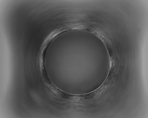 X0000115510339200911061401