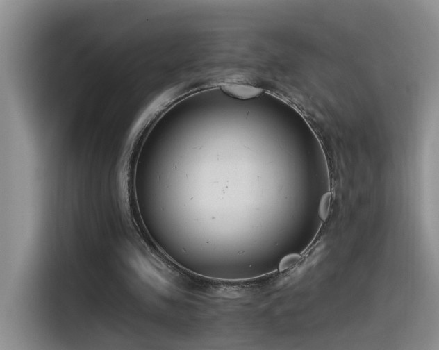 X0000115510341200911061401