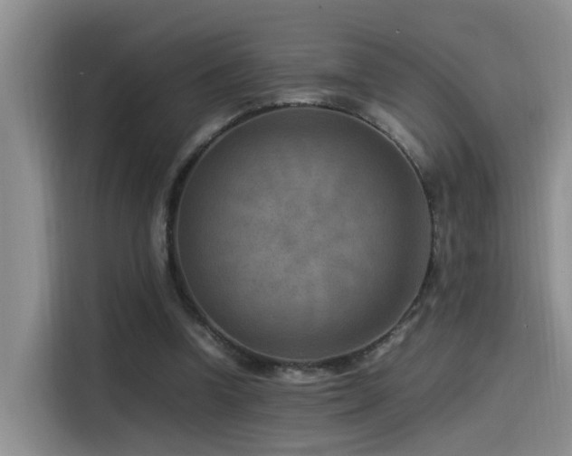 X0000115510346200911061401