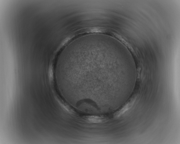 X0000115510347200911061401