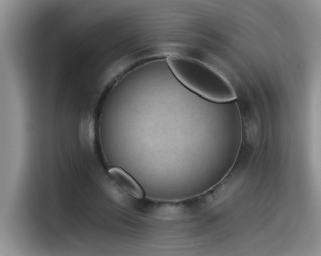X0000115510350200911061401