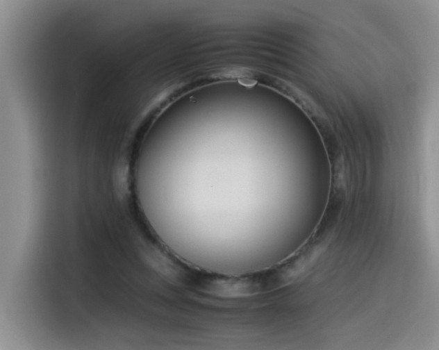 X0000115510351200911061401
