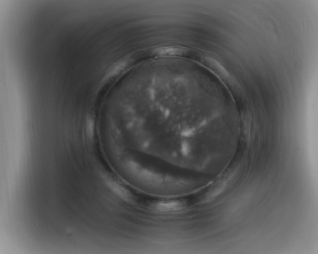X0000115510357200911061401