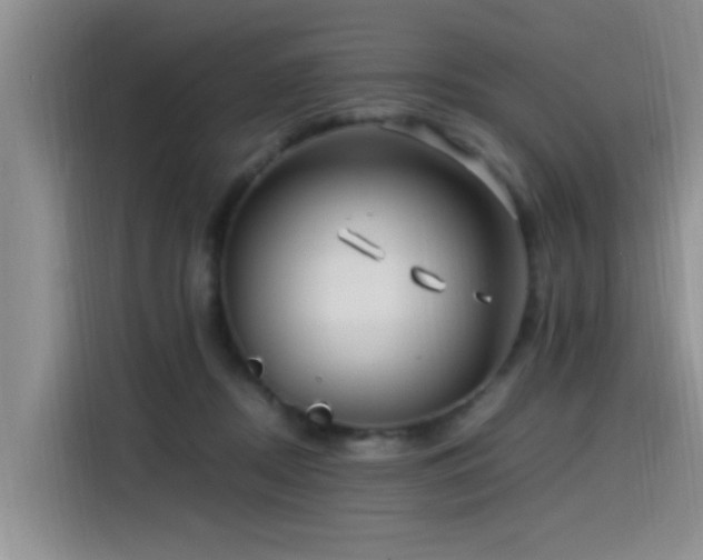 X0000115510362200911061401