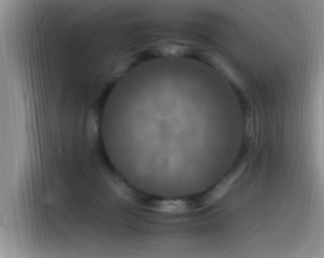 X0000115510363200911061401