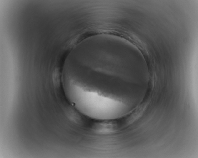 X0000115510366200911061401