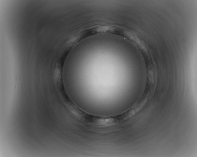 X0000115510375200911061401