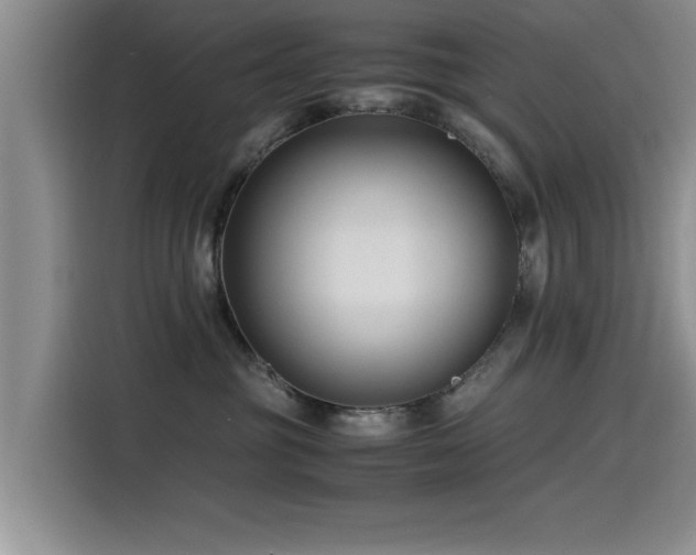 X0000115510381200911061402