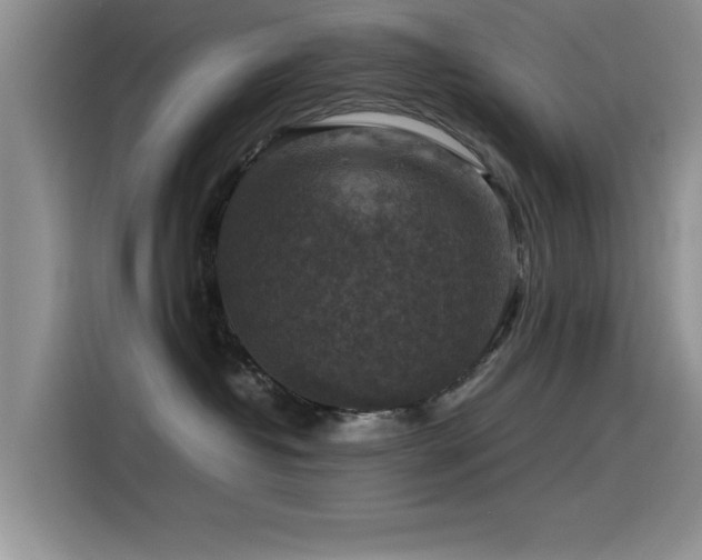 X0000115510382200911061402