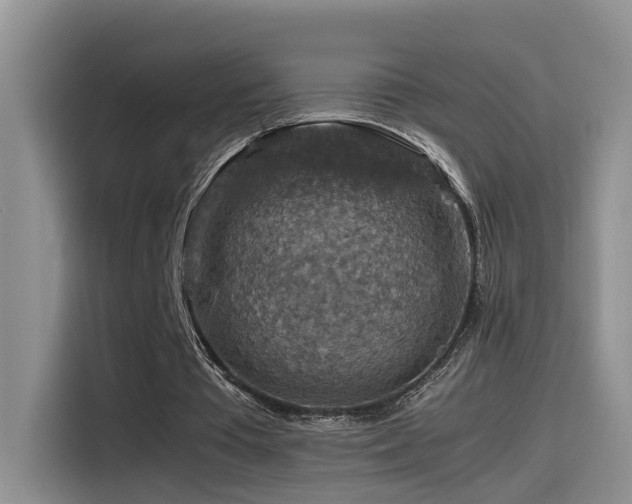 X0000115510385200911061401