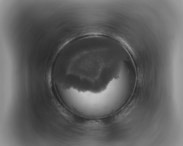 X0000115510386200911061401