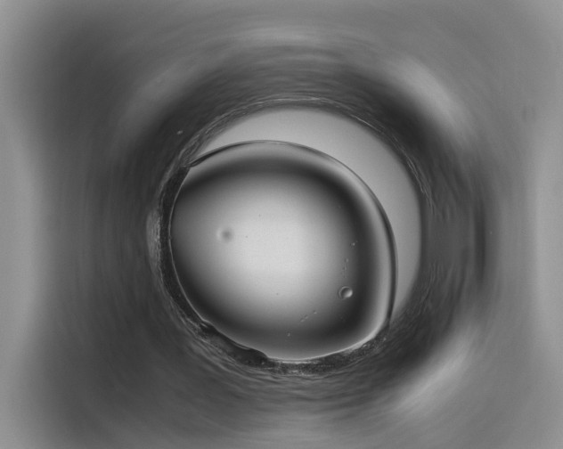 X0000115510387200911061401