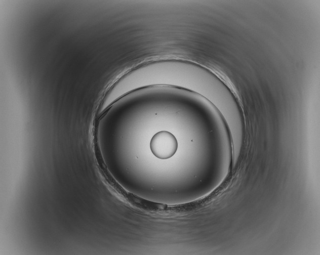 X0000115510389200911061401