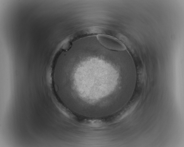 X0000115510395200911061401