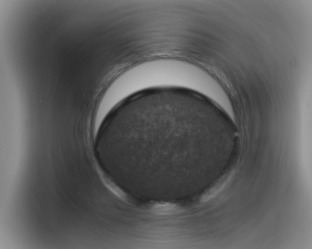 X0000115510397200911061401