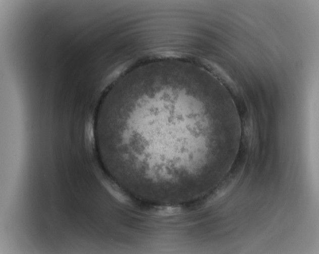 X0000115510398200911061401