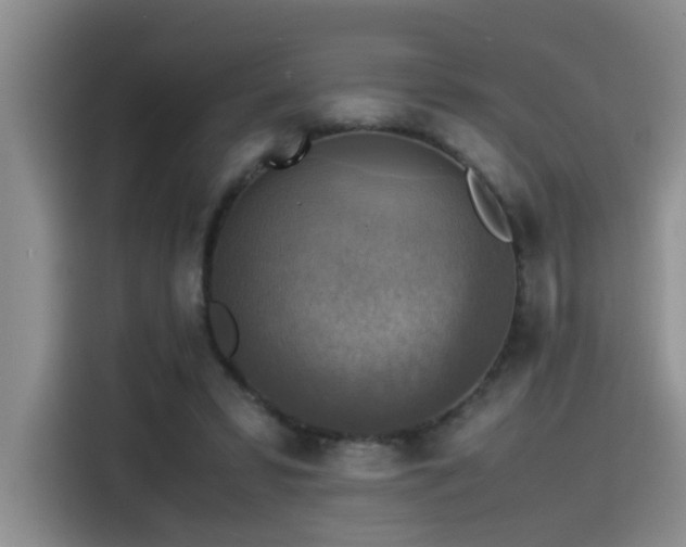 X0000115510399200911061401