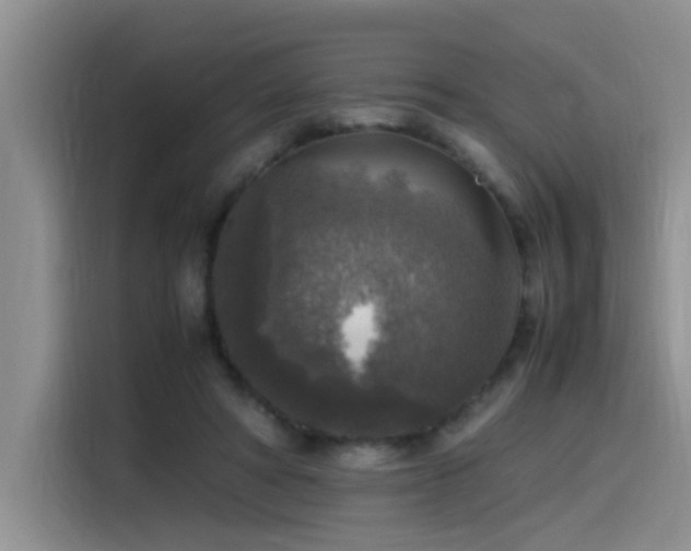 X0000115510402200911061400