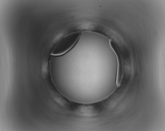 X0000115510403200911061400