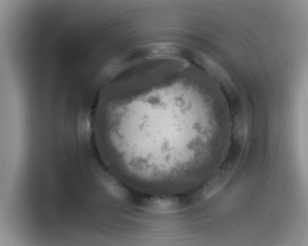 X0000115510405200911061400