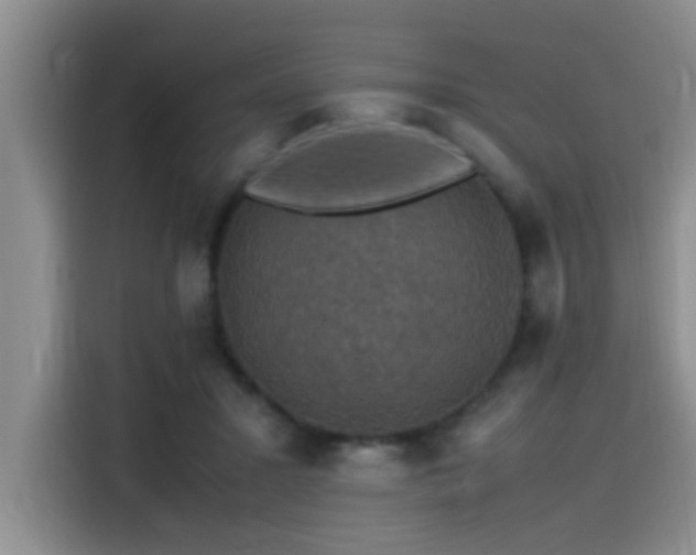 X0000115510407200911061400