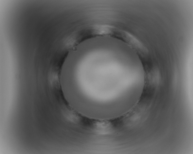 X0000115510415200911061400