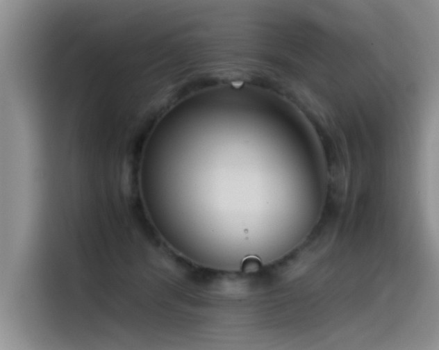 X0000115510416200911061400
