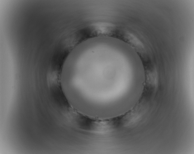 X0000115510419200911061400