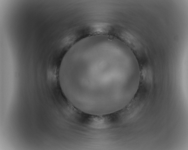 X0000115510423200911061400
