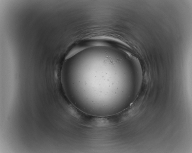 X0000115510424200911061400