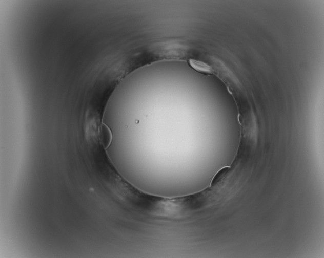 X0000115510425200911061400
