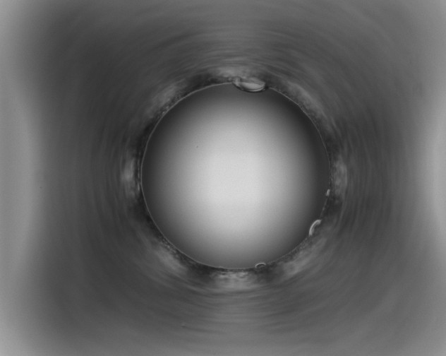 X0000115510428200911061400