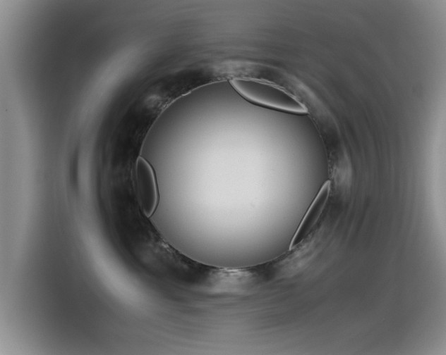 X0000115510429200911061400