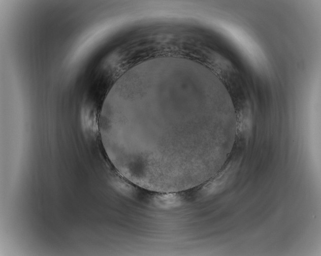 X0000115510431200911061400