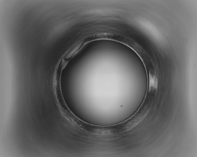 X0000115510435200911061359