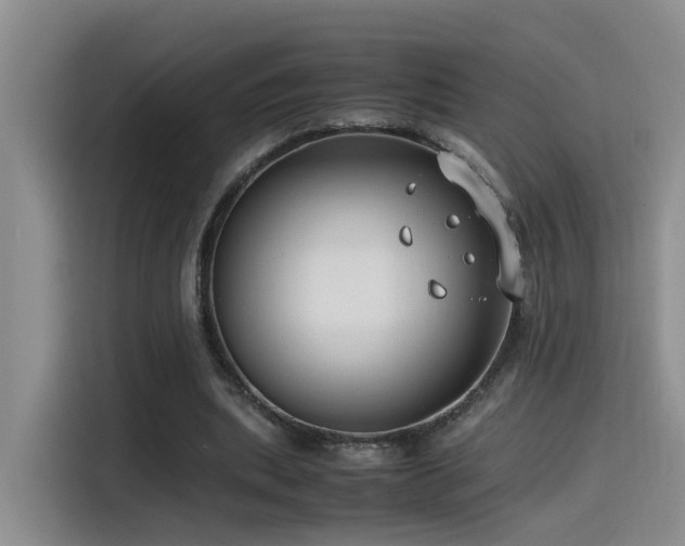 X0000115510439200911061359