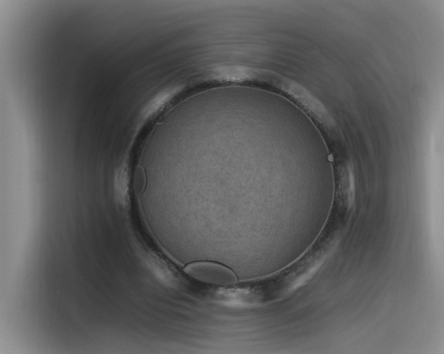 X0000115510440200911061359