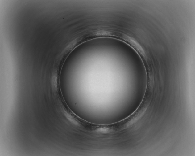 X0000115510441200911061359