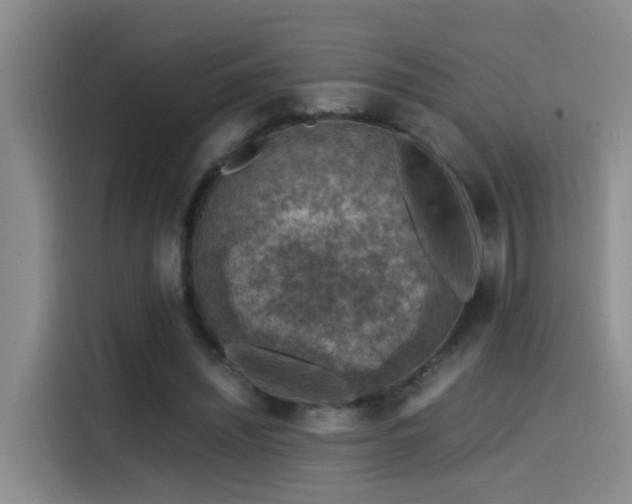 X0000115510444200911061359